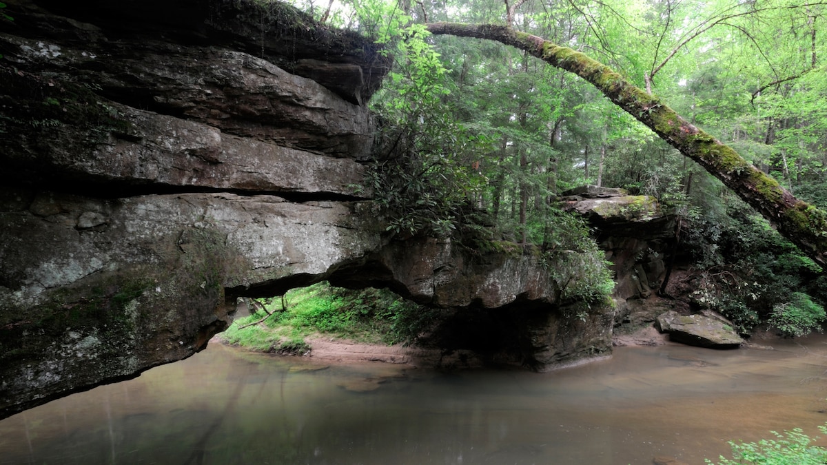 Eastern Kentucky is poised for an ecotourism boom—but a new resort sparks debate 1 Eastern Kentucky is poised for an ecotourism boom—but a new resort sparks debate