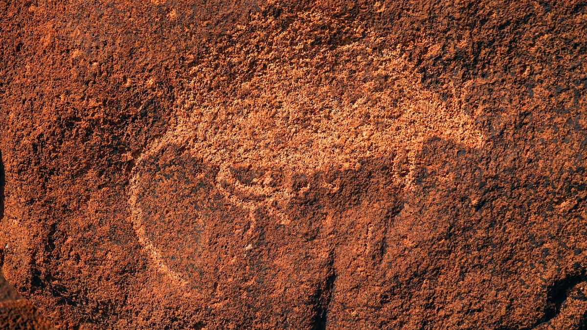 Pollution is threatening some of the world’s oldest rock carvings 1 Pollution is threatening some of the world’s oldest rock carvings