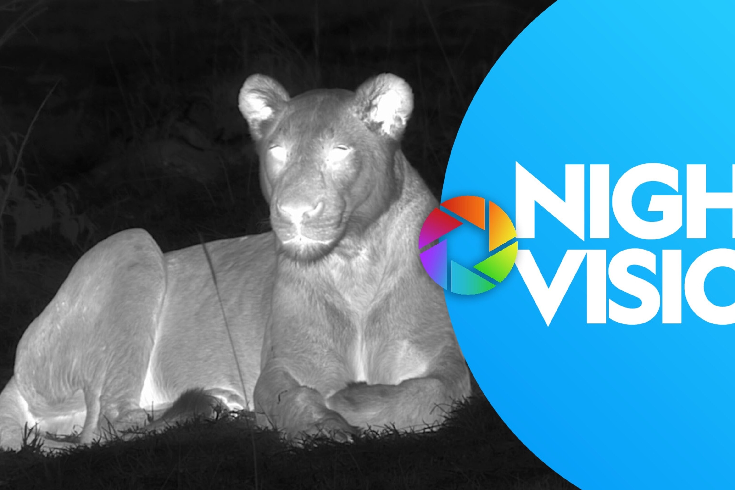 National Geographic Kids | National Geographic Kids