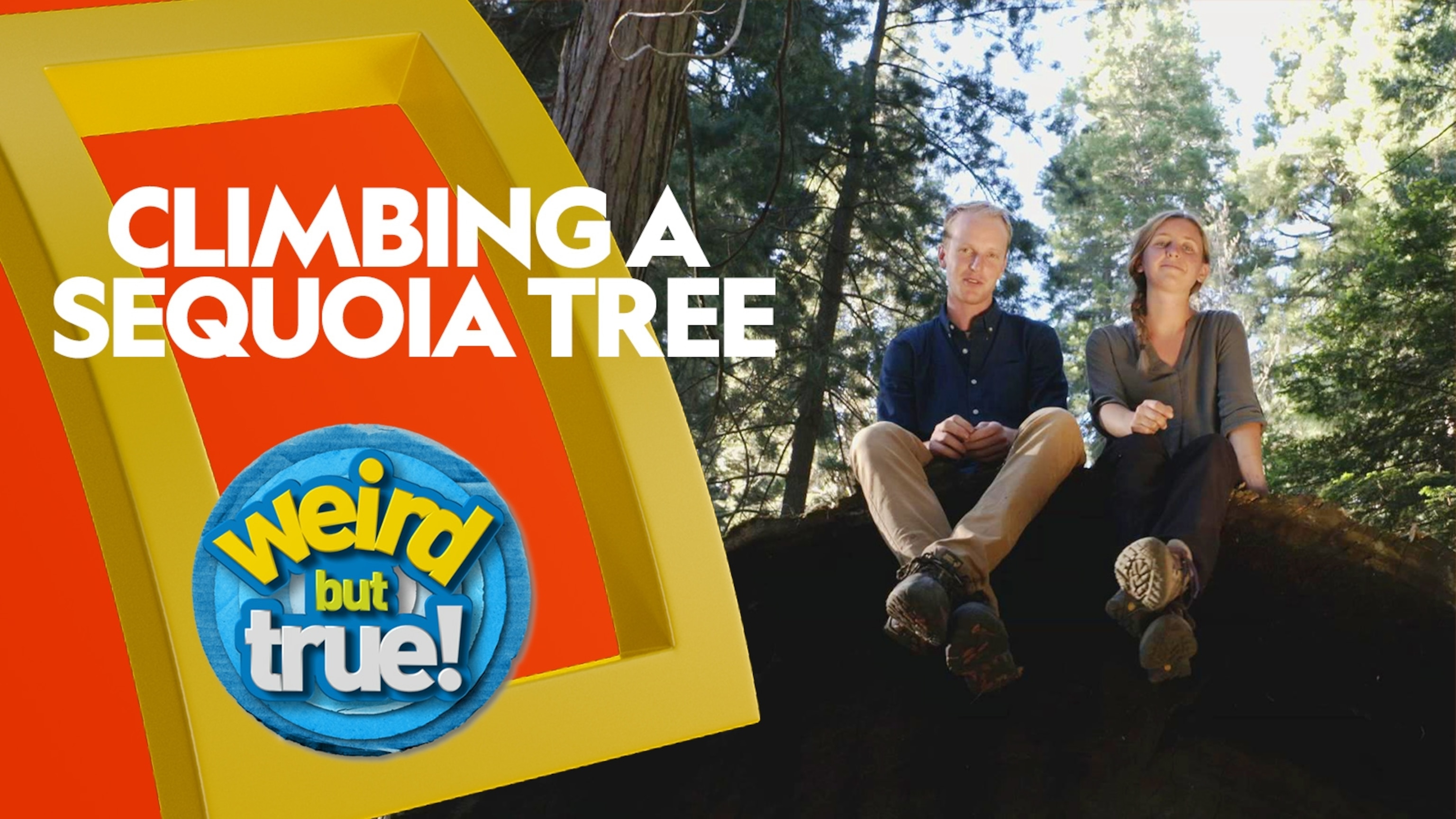 National Geographic Kids レベル1,2,3 National Geographic Kids レベル1,2,3 9781426338441_p0_v4_s1200x630.jpg