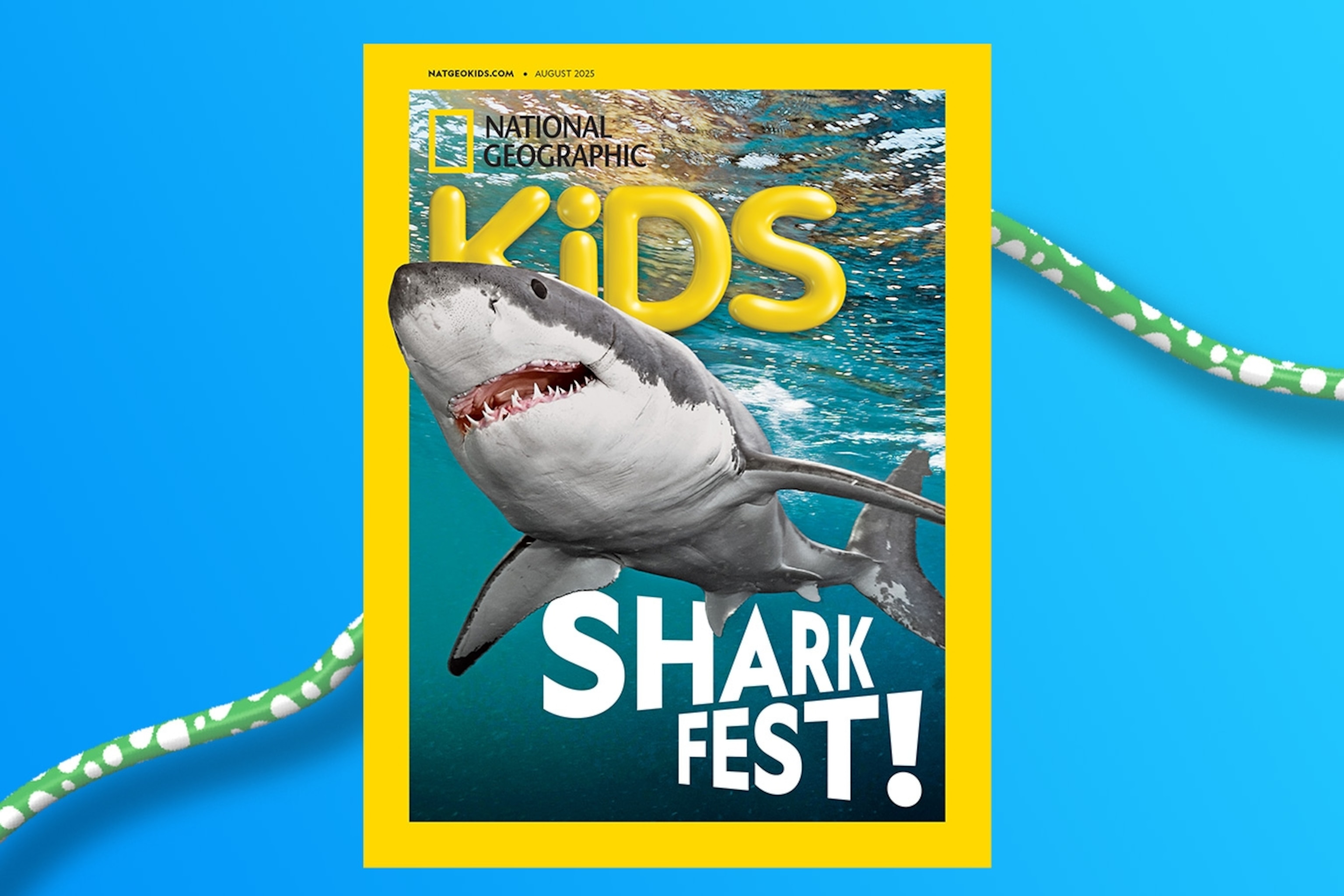 【新品海外購入]38冊NationalGeographickids level3 新品National Geographic Kids L3/38冊英語絵本 洋書