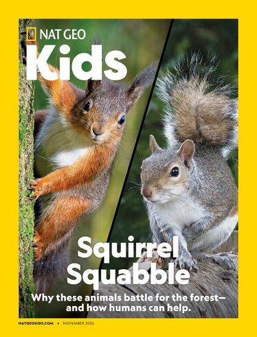 A Nat Geo Kids magazine cover featuring a red squirrel and a gray squirrel
