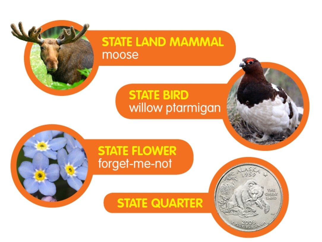 Alaska State Tree Name