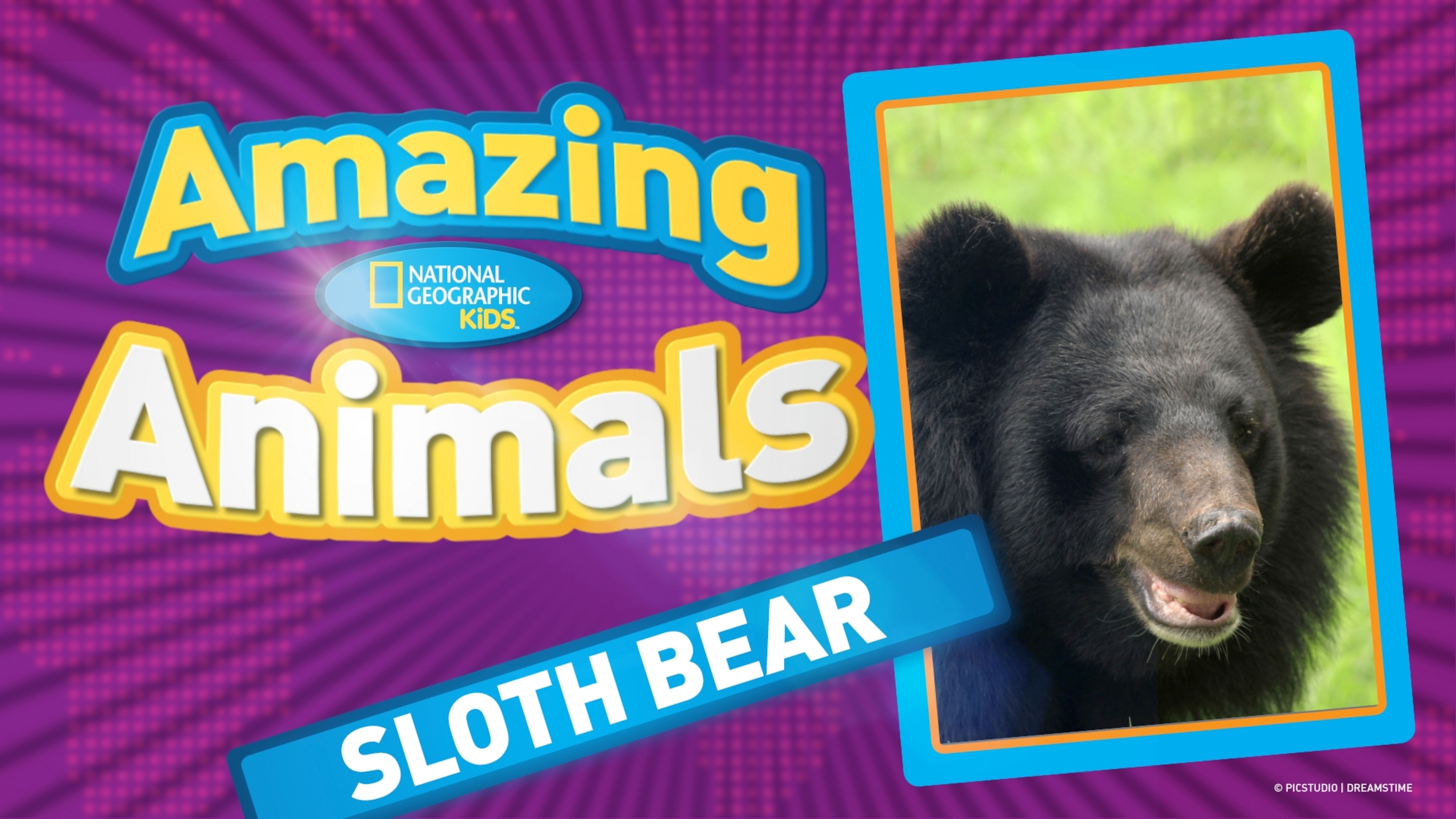 新品 National Geographic Kids 1 / ORT 6-9 National Geographic Kids Six Book Set : Farm Animals, Plants, In