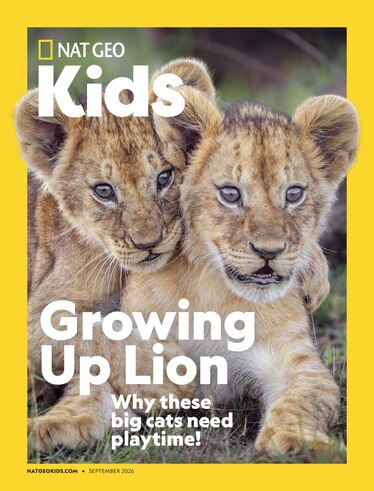 A Nat Geo Kids magazine cover with two lion cubs that says Growing Up Lion Why these big cats need playtime!