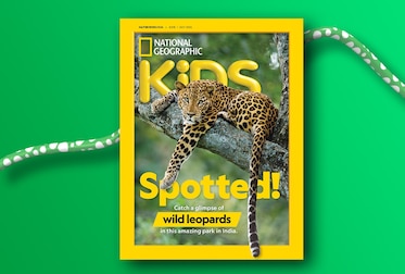 NGK June/July 24 Cover