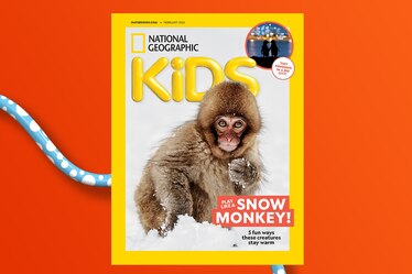 A National Geographic Kids magazine cover featuring a snow monkey on a snowy background. Text says: Play like a snow monkey! 6 fun ways these creatures stay warm. An inset image shows two penguins standing near city lights with text that says: Tiny penguins in a big city!