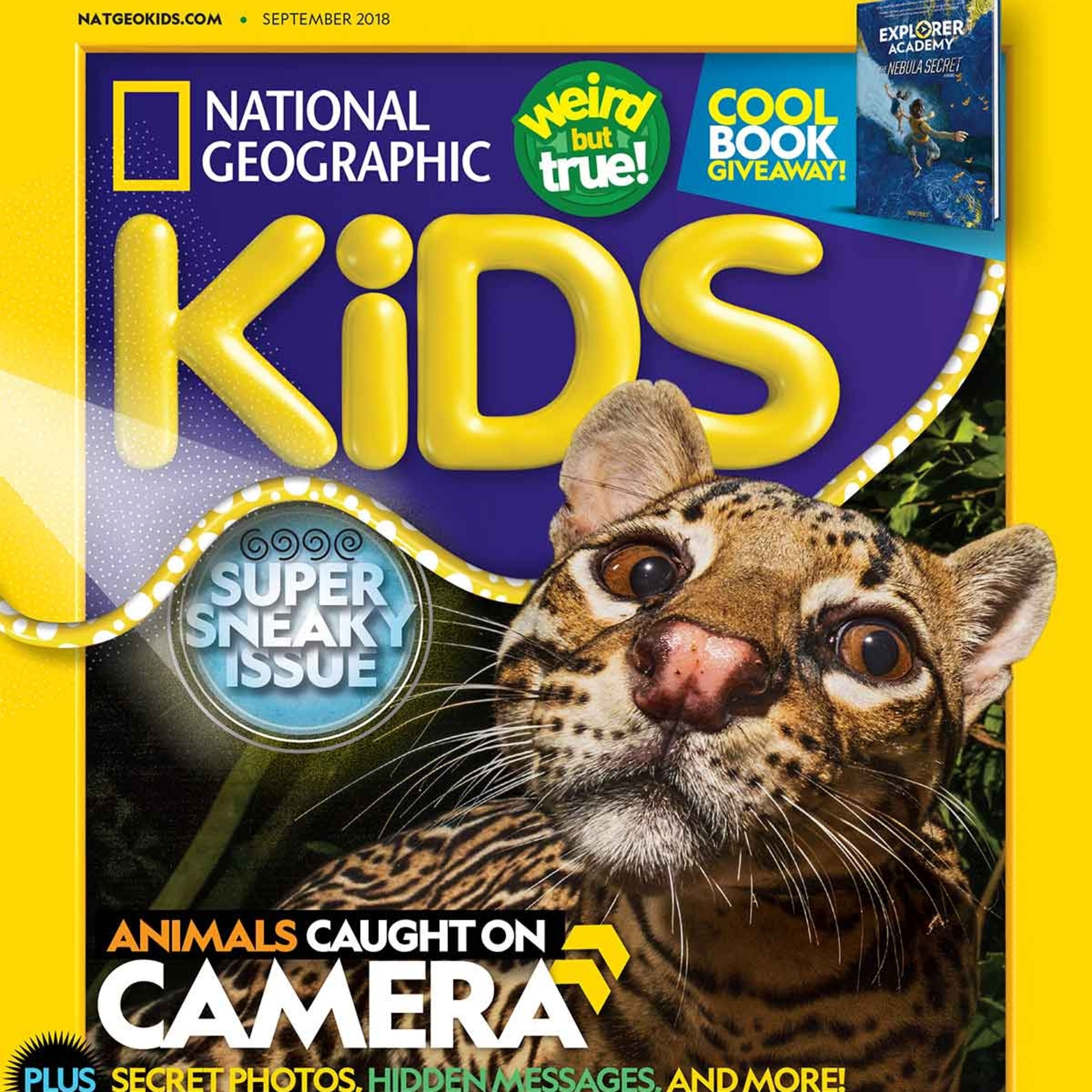 National Geographic Kids 絵本155冊　マイヤペン対応 新品 National Geographic Kids 絵本155冊 音源付 - メルカリ