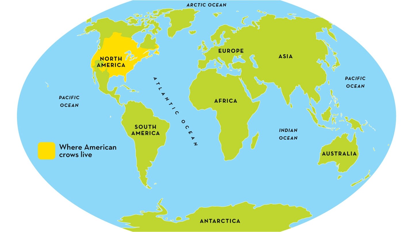 Range of the American crow