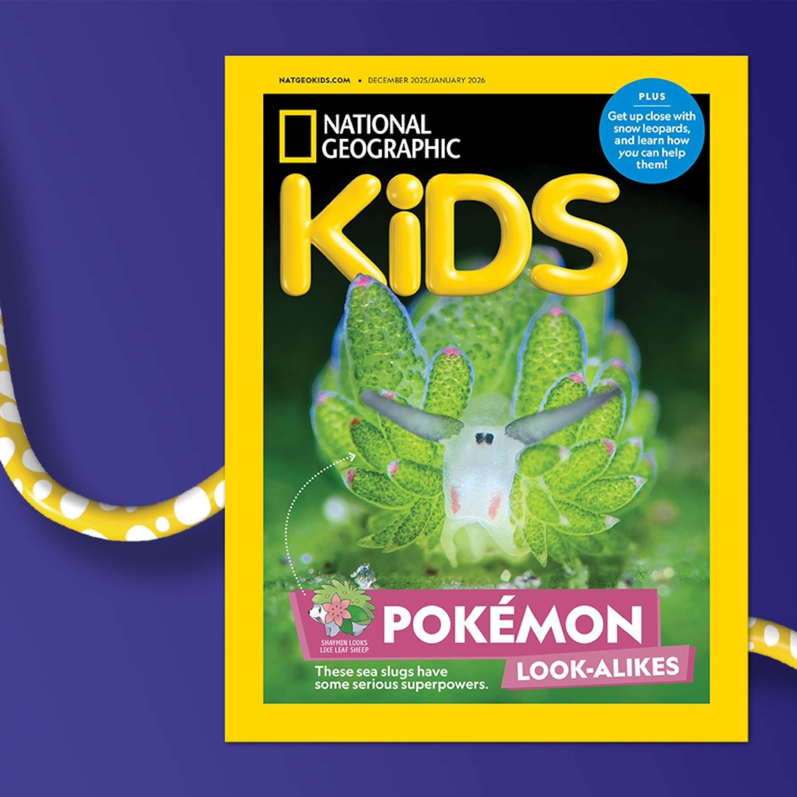 National Geographic Kids 153冊他 Find it! Explore it! By National Geographic Kids – American Bookworm