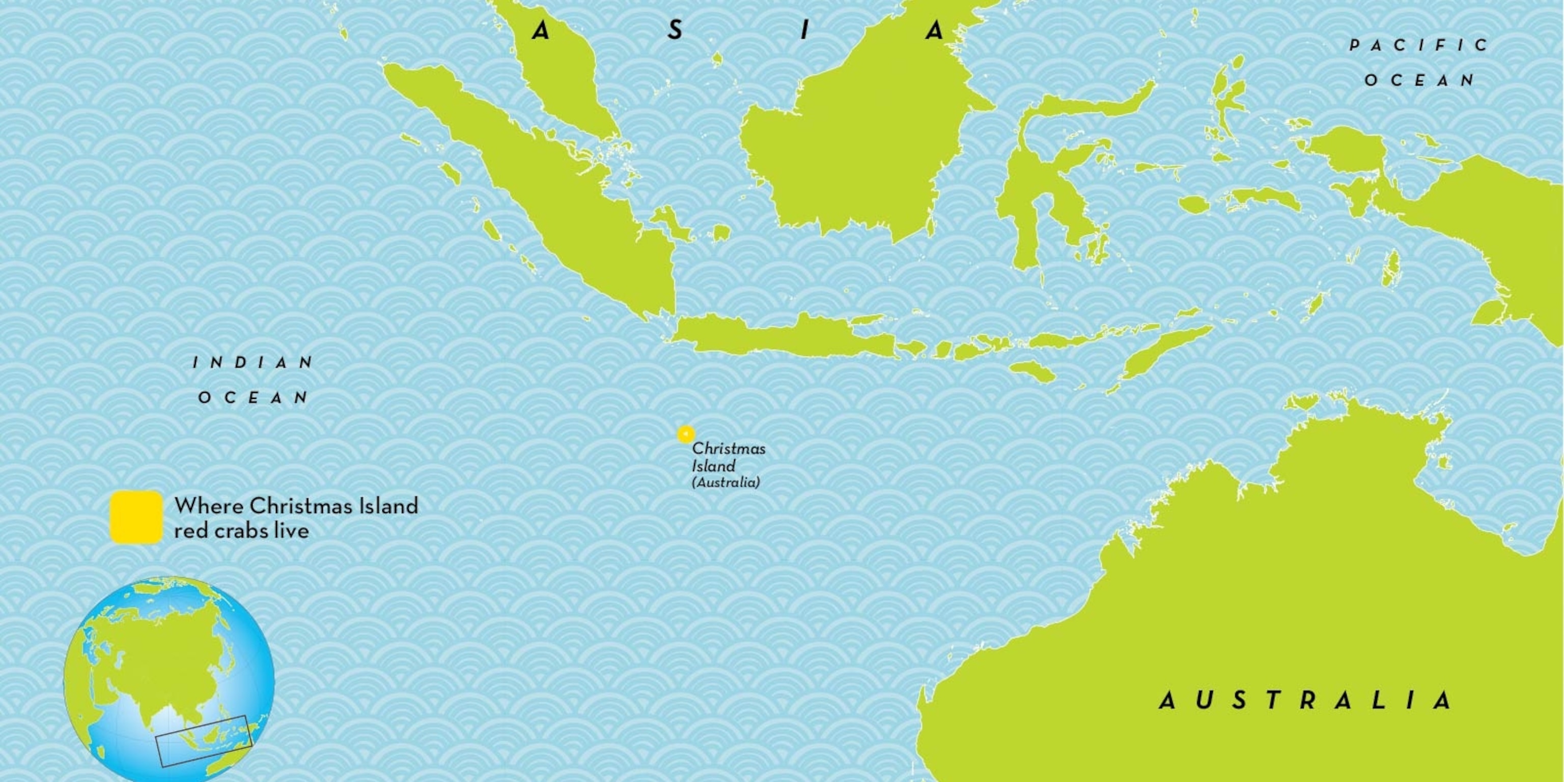 Christmas Island Red Crab Christmas Island Red Crab