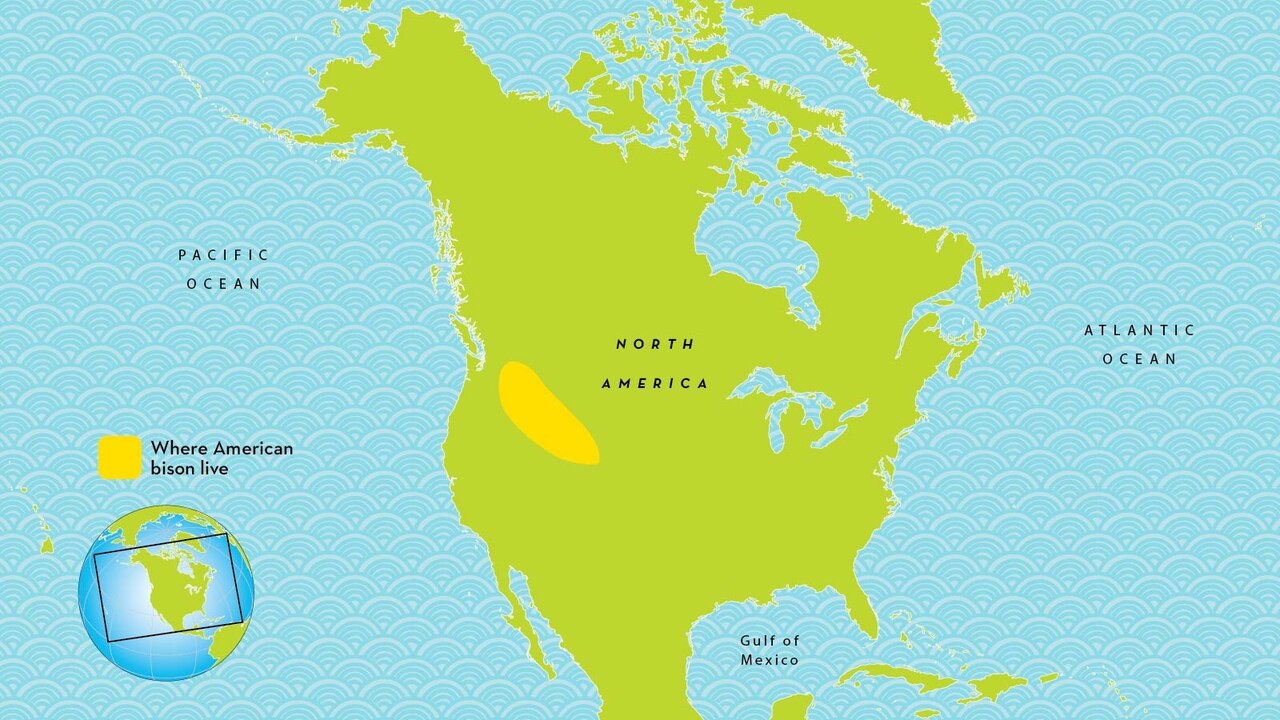 bison range map