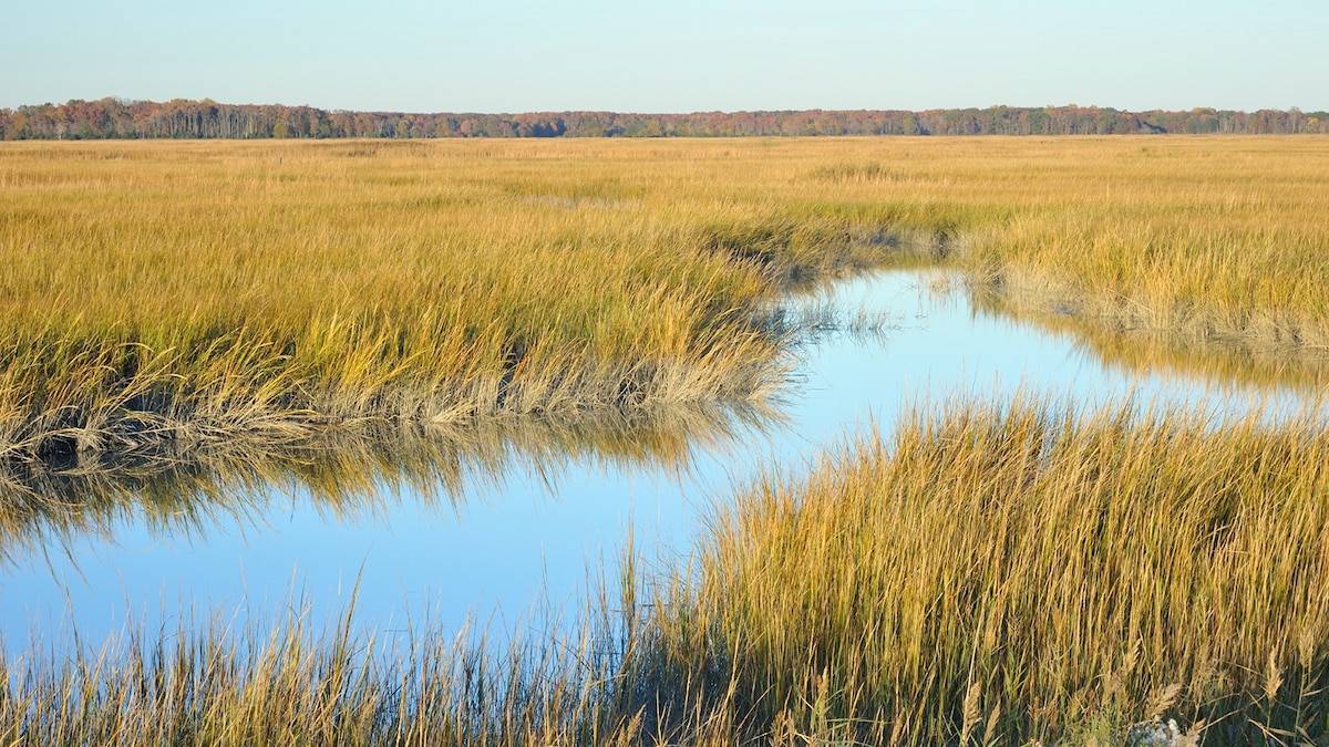 Delaware Pictures and Facts