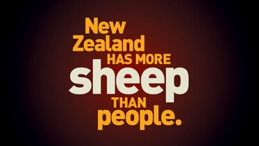 New Zealand has more sheep than people.