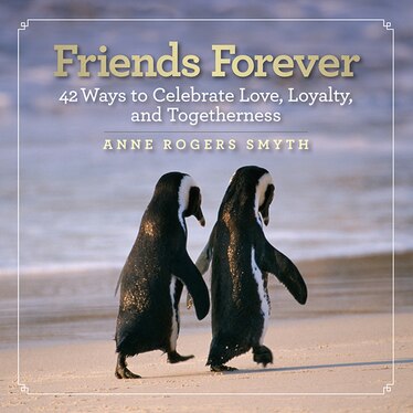 Friends Forever book cover