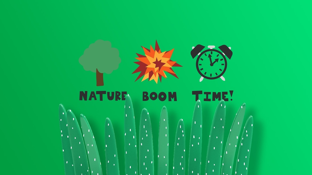 Nature Boom Time
