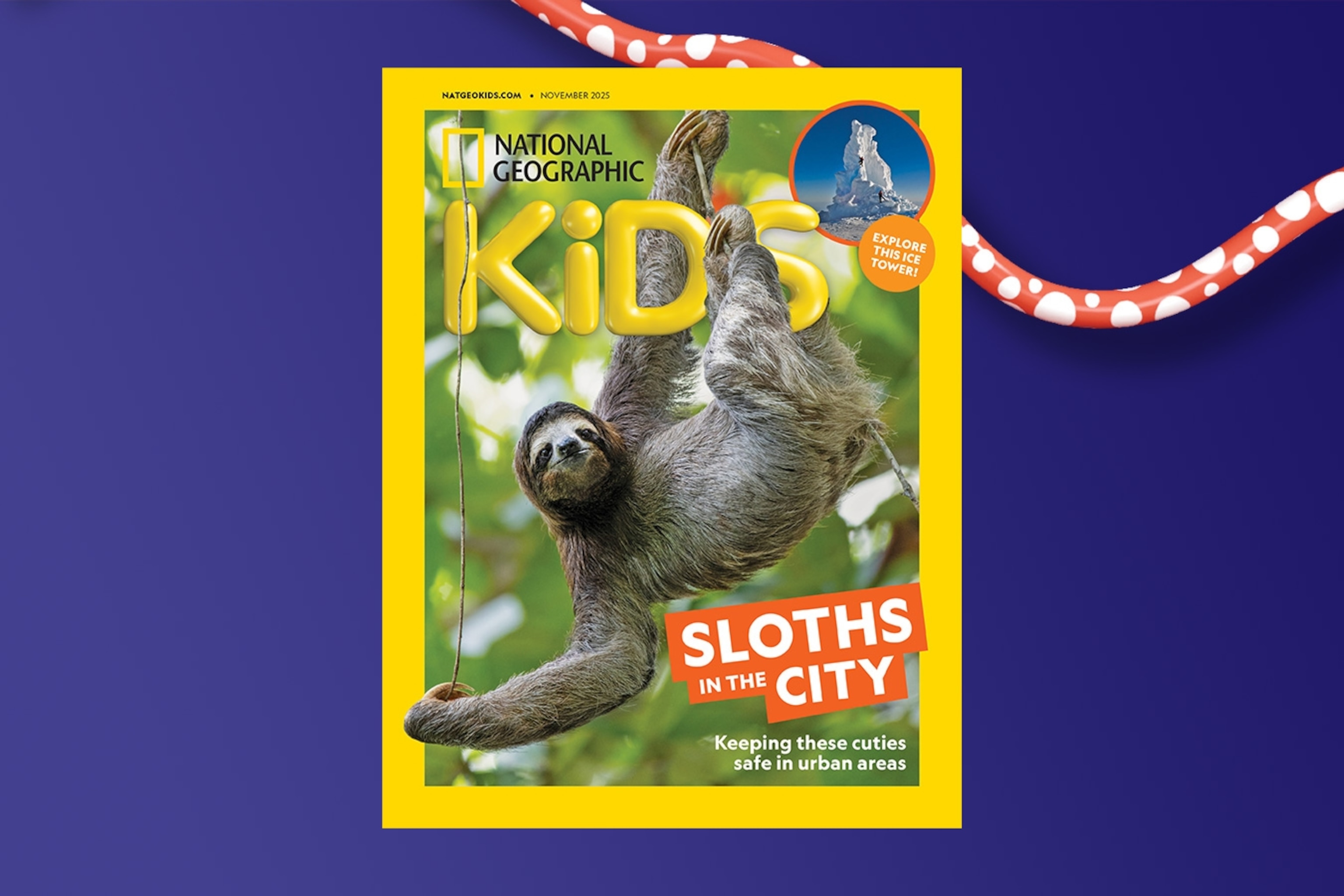 National Geographic Kids レベル1,2,3 National Geographic Kids レベル1,2,3 National Geographic