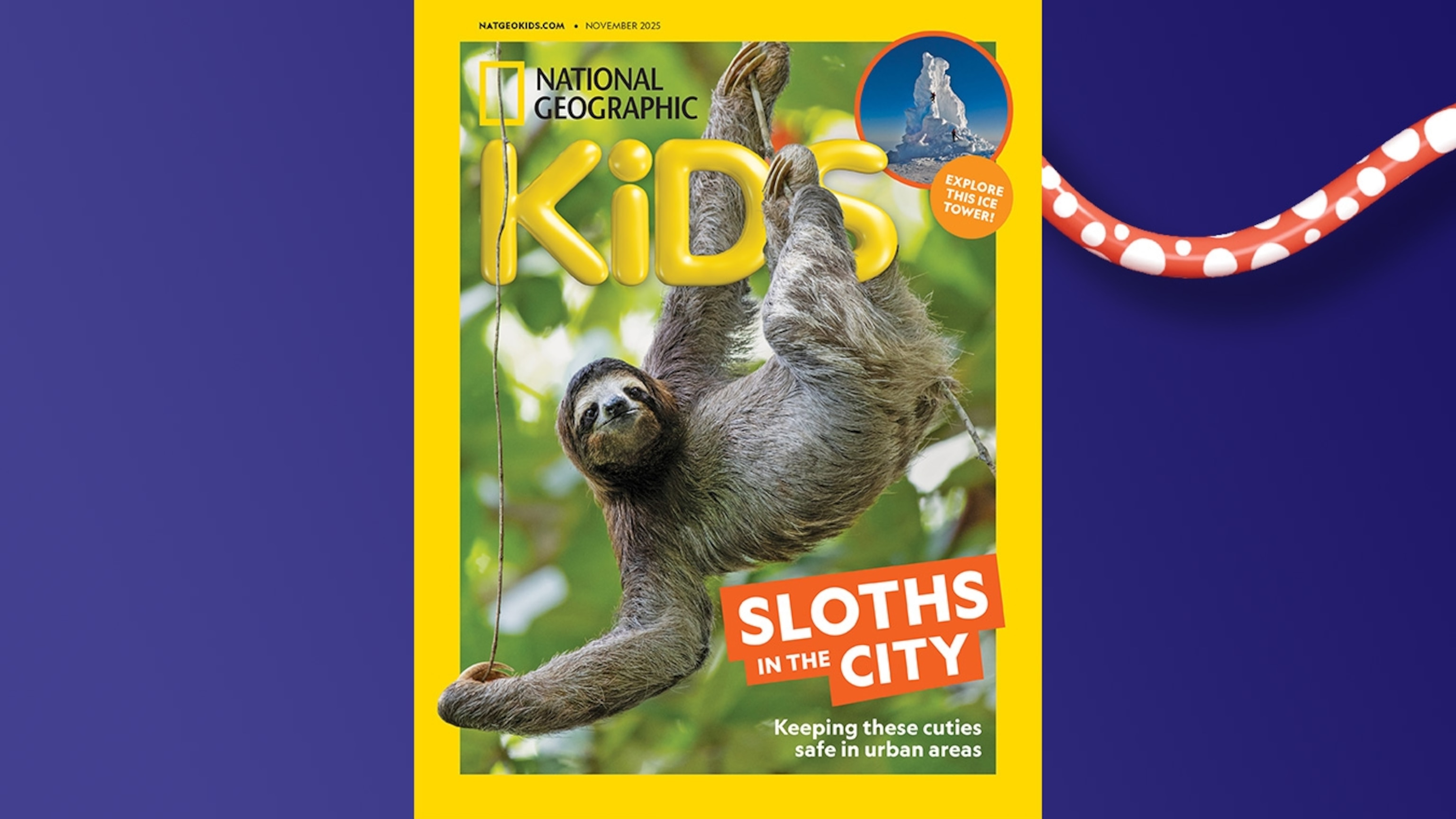 National Geographic Kids 155冊 マイヤペン対応 National Geographic Kids Look & Learn (20 Books) | Chinese
