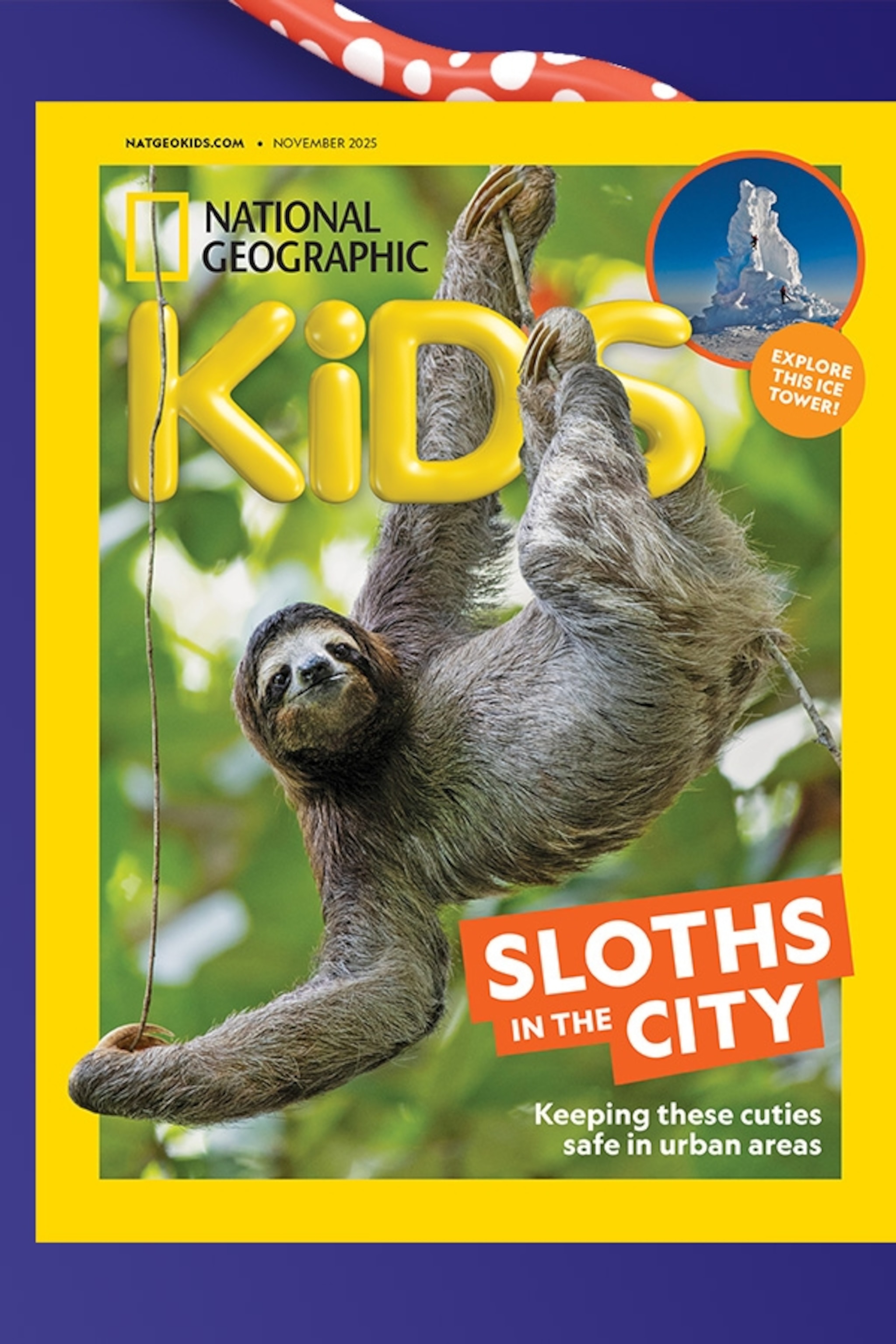 新品 National Geographic Kids 1 / ORT 6-9 新品 National Geographic Kids 1 / ORT 6-9 National