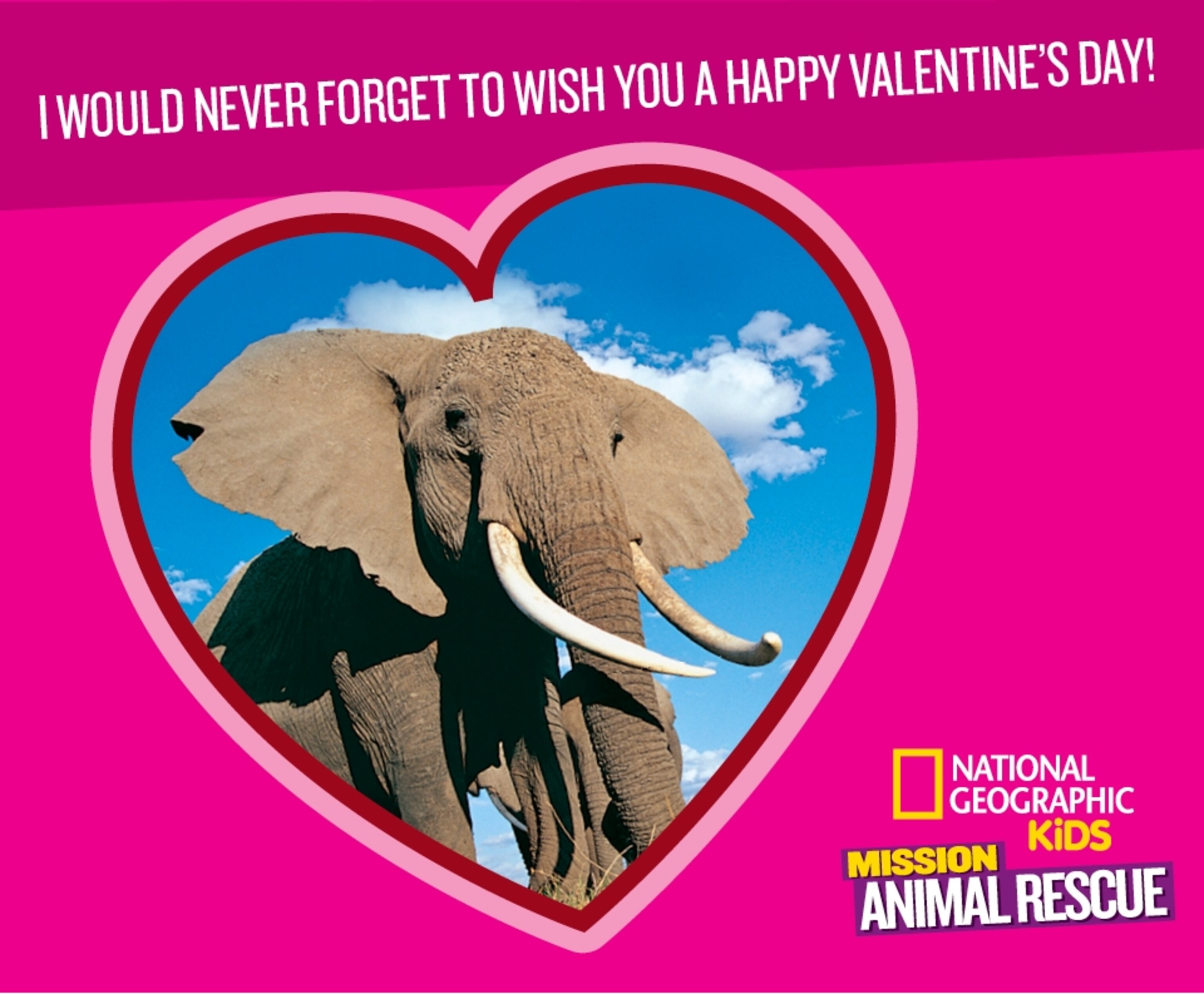 Printable animal Valentine cards
