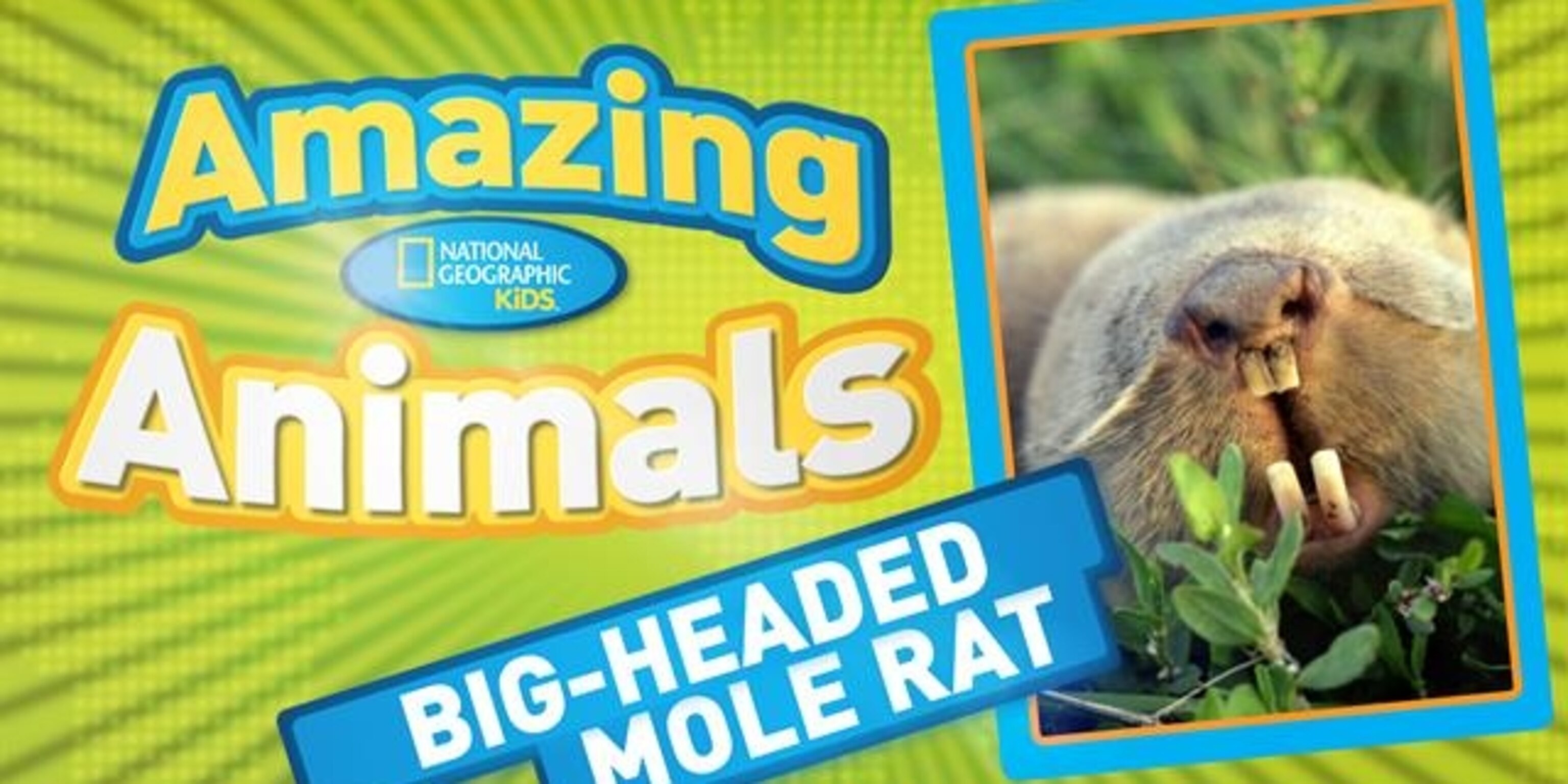 National Geographic Kids | National Geographic Kids