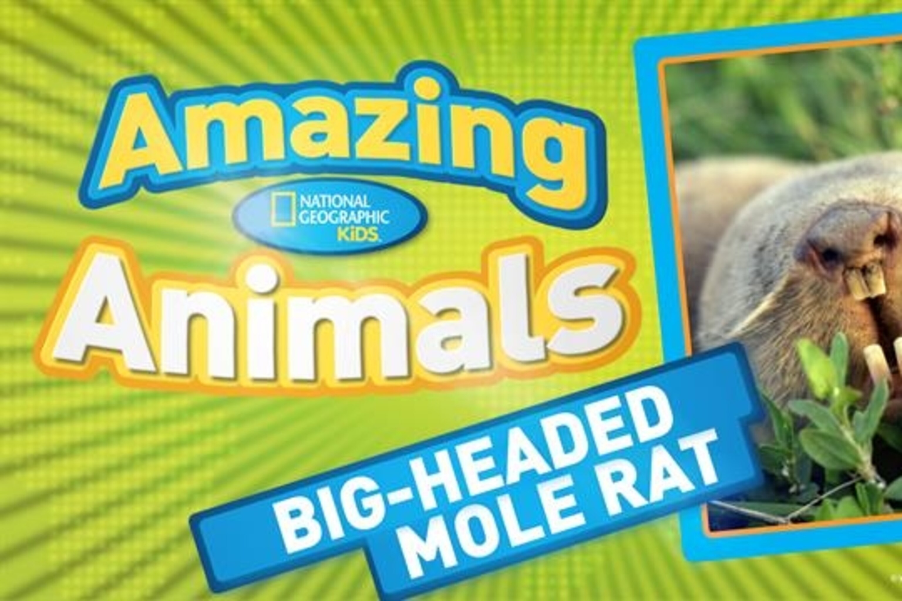 National Geographic Kids | National Geographic Kids