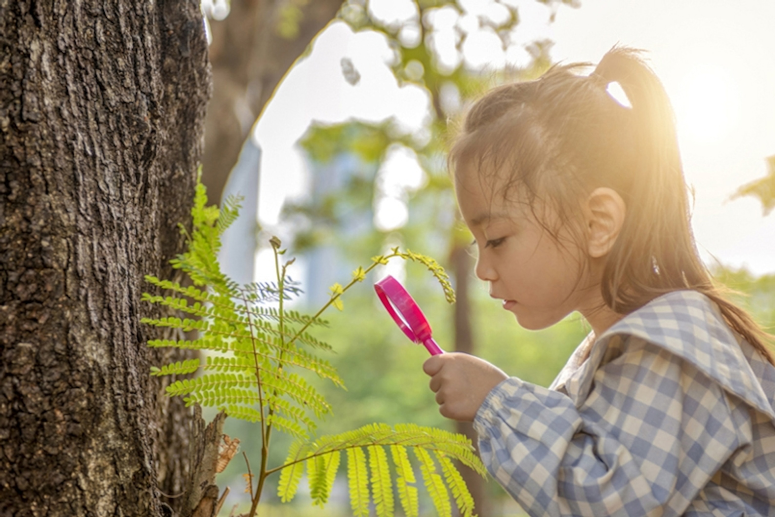 Boost kids' brainpower with nature.