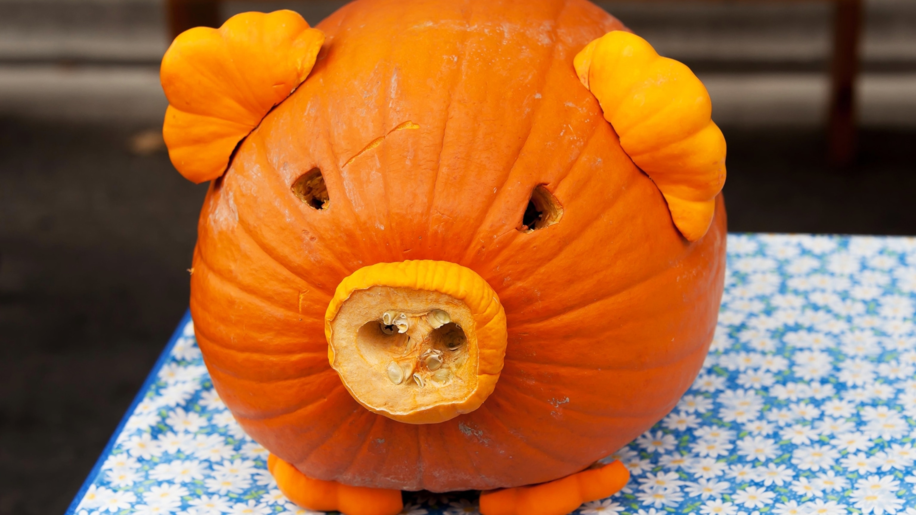 Pig Pumpkin Carving Ideas