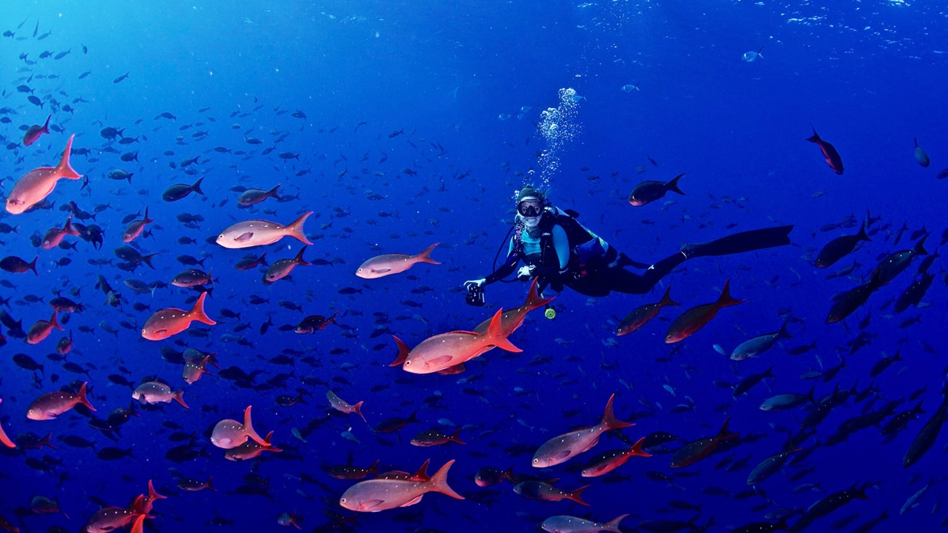 Adventures in Exploration | National Geographic Kids