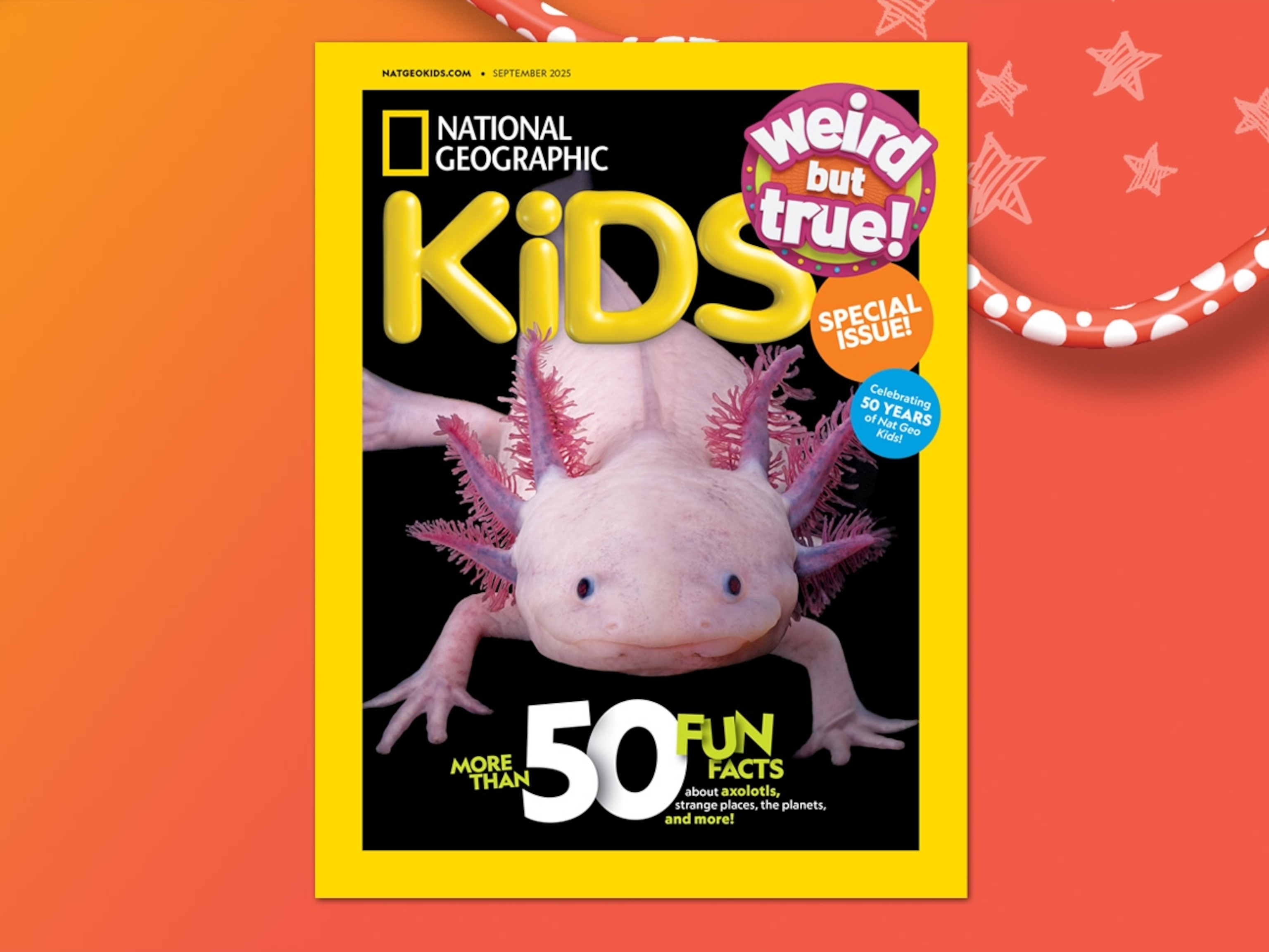 【National Geographic Kids 】11冊セット Amazon.com: National Geographic Kids Activity Journal Set