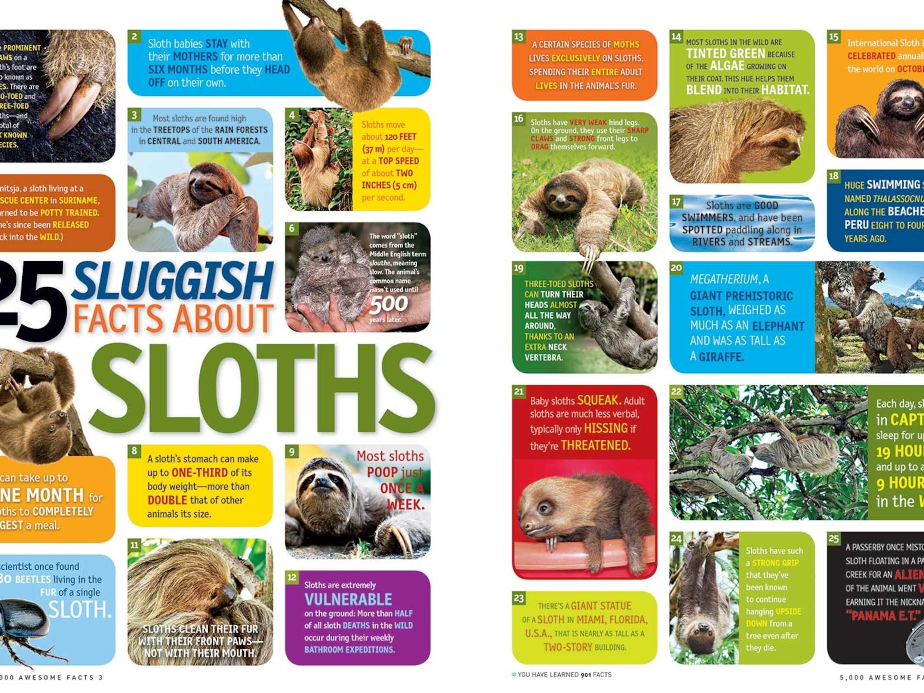 Cool Animals Facts