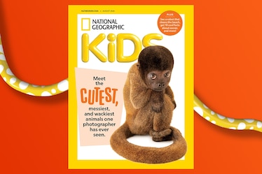 A Nat Geo Kids magazine cover featuring a woolly monkey