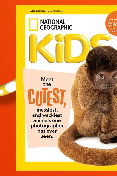 A Nat Geo Kids magazine cover featuring a woolly monkey