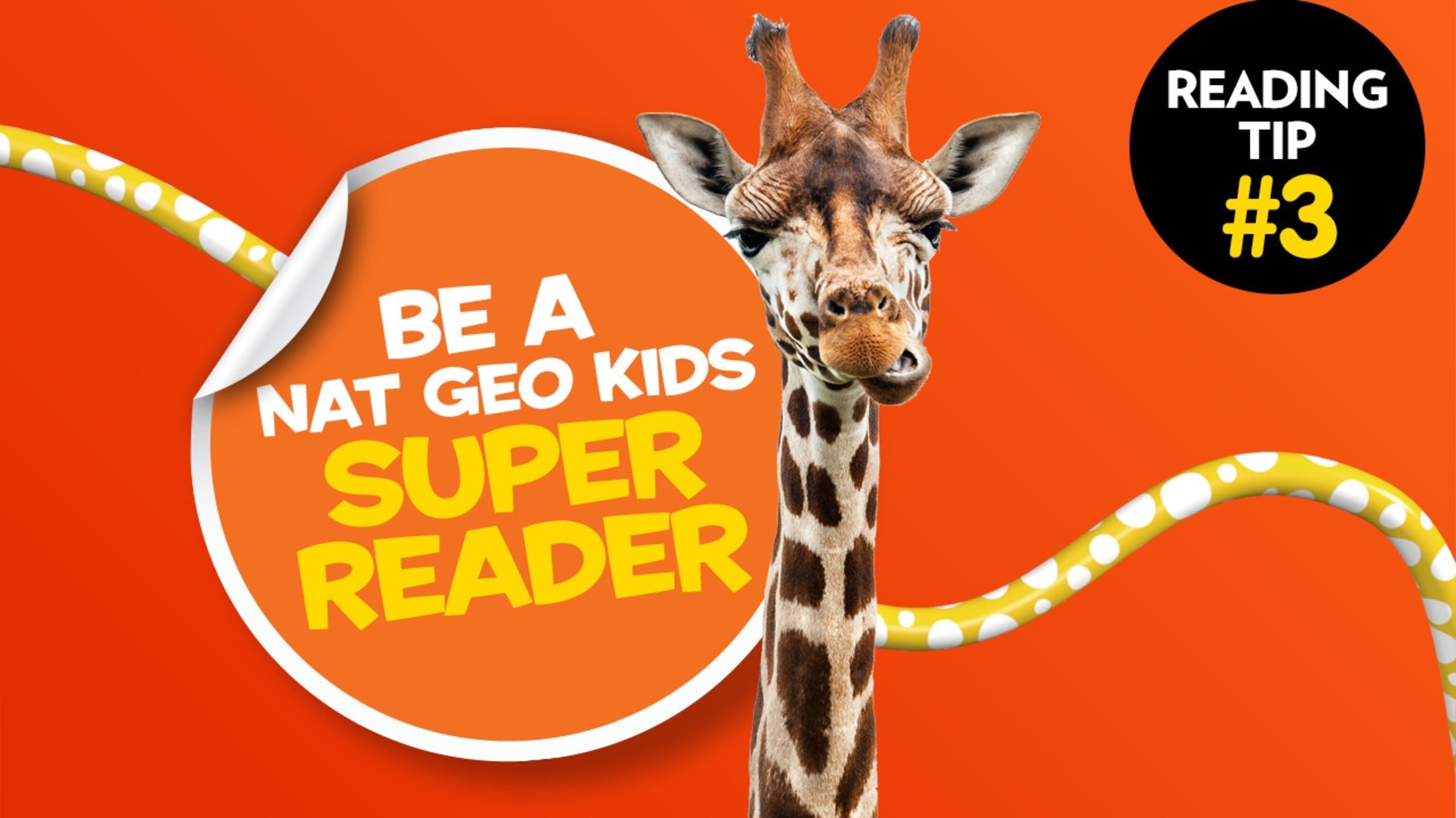 5 tips for raising a reader