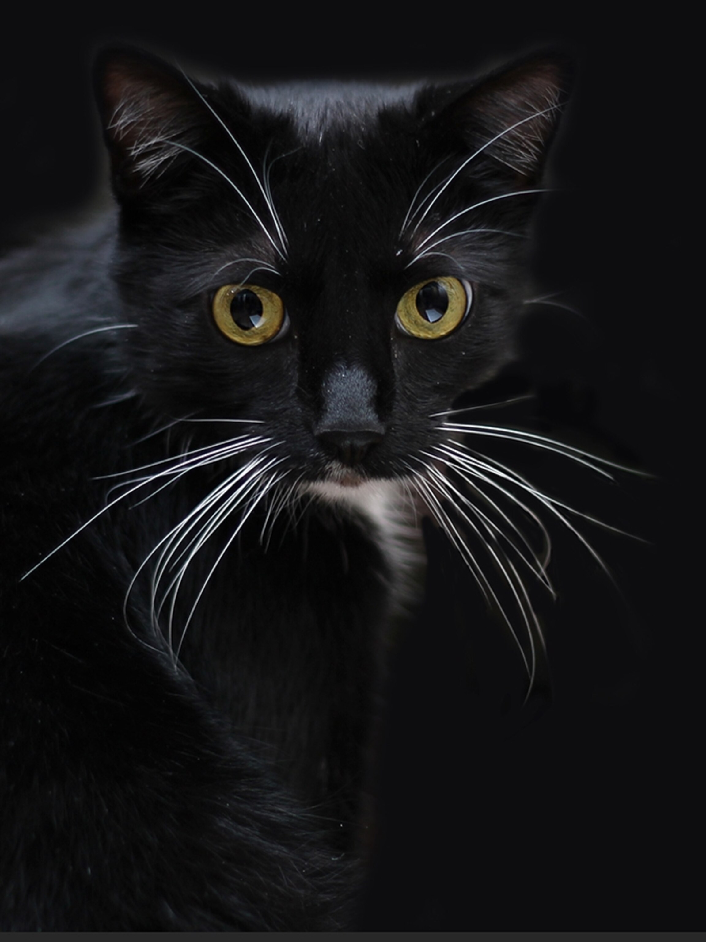 Snap Happy: Quirky Phototips for Every Mood