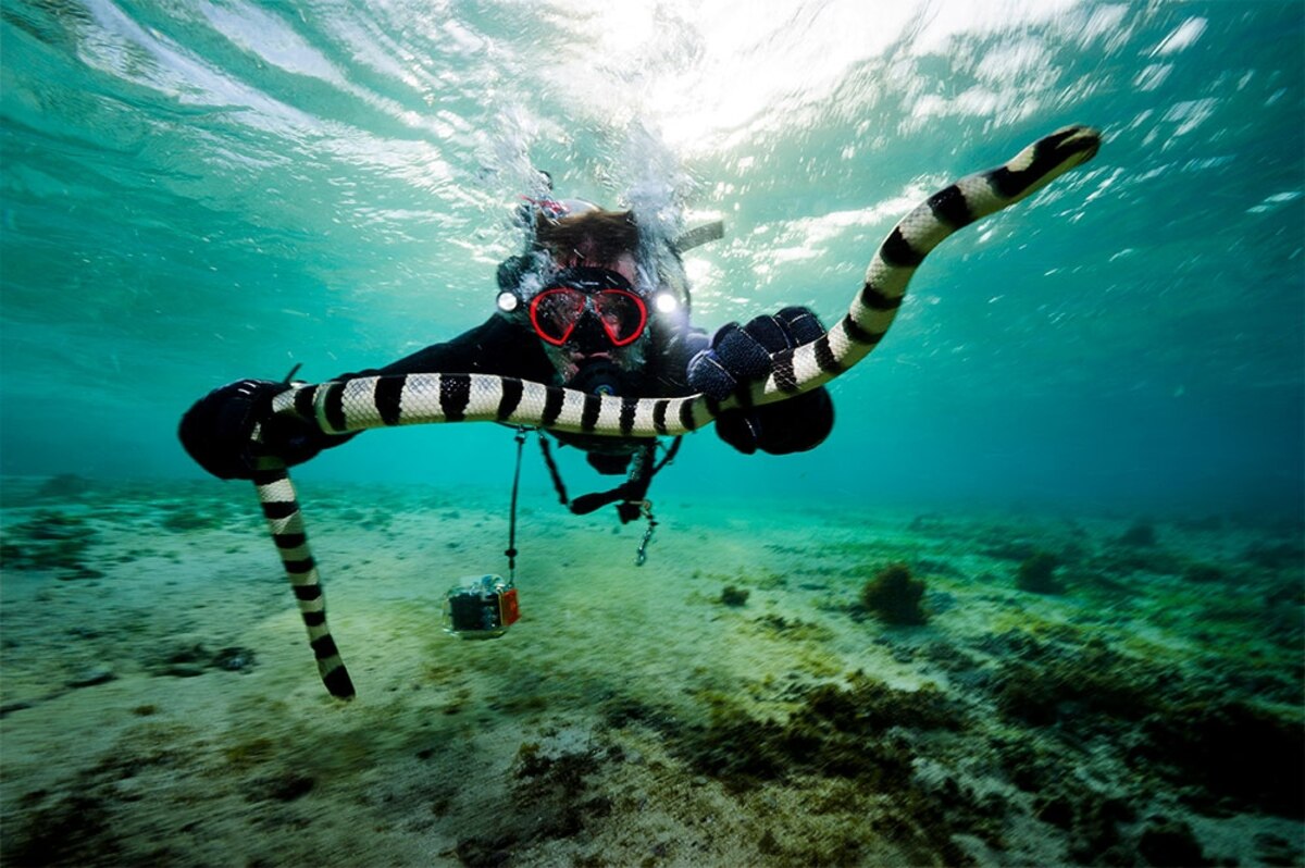 Dare to Explore Explorer Academy