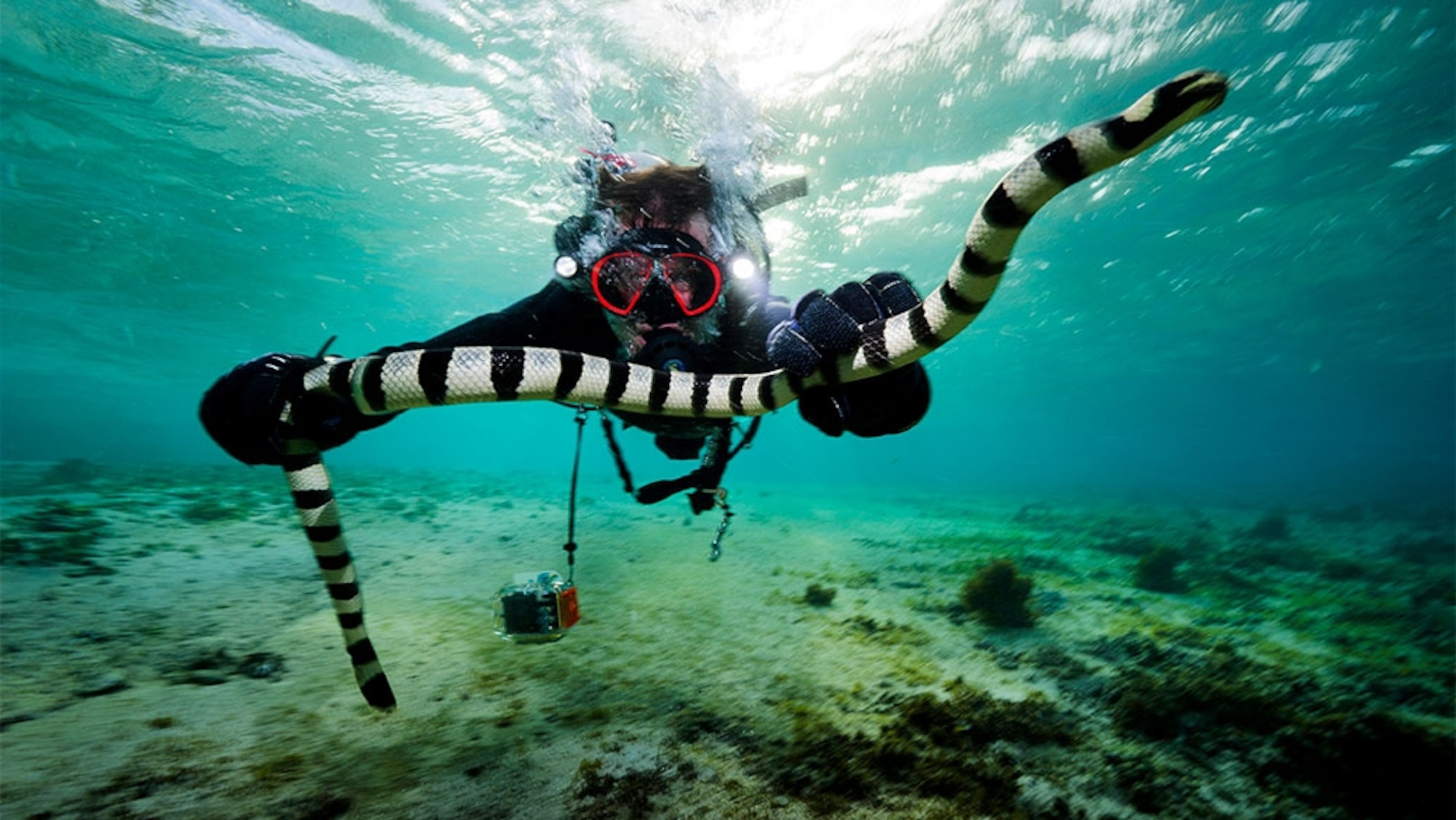 Dare to Explore | Explorer Academy | National Geographic Kids