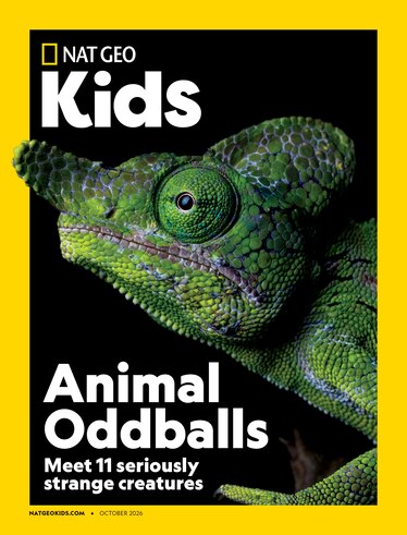 A Nat Geo Kids magazine cover featuring a green Labord's chameleon on a black background with text that says Animal Oddballs Meet 11 seriously strange creatures