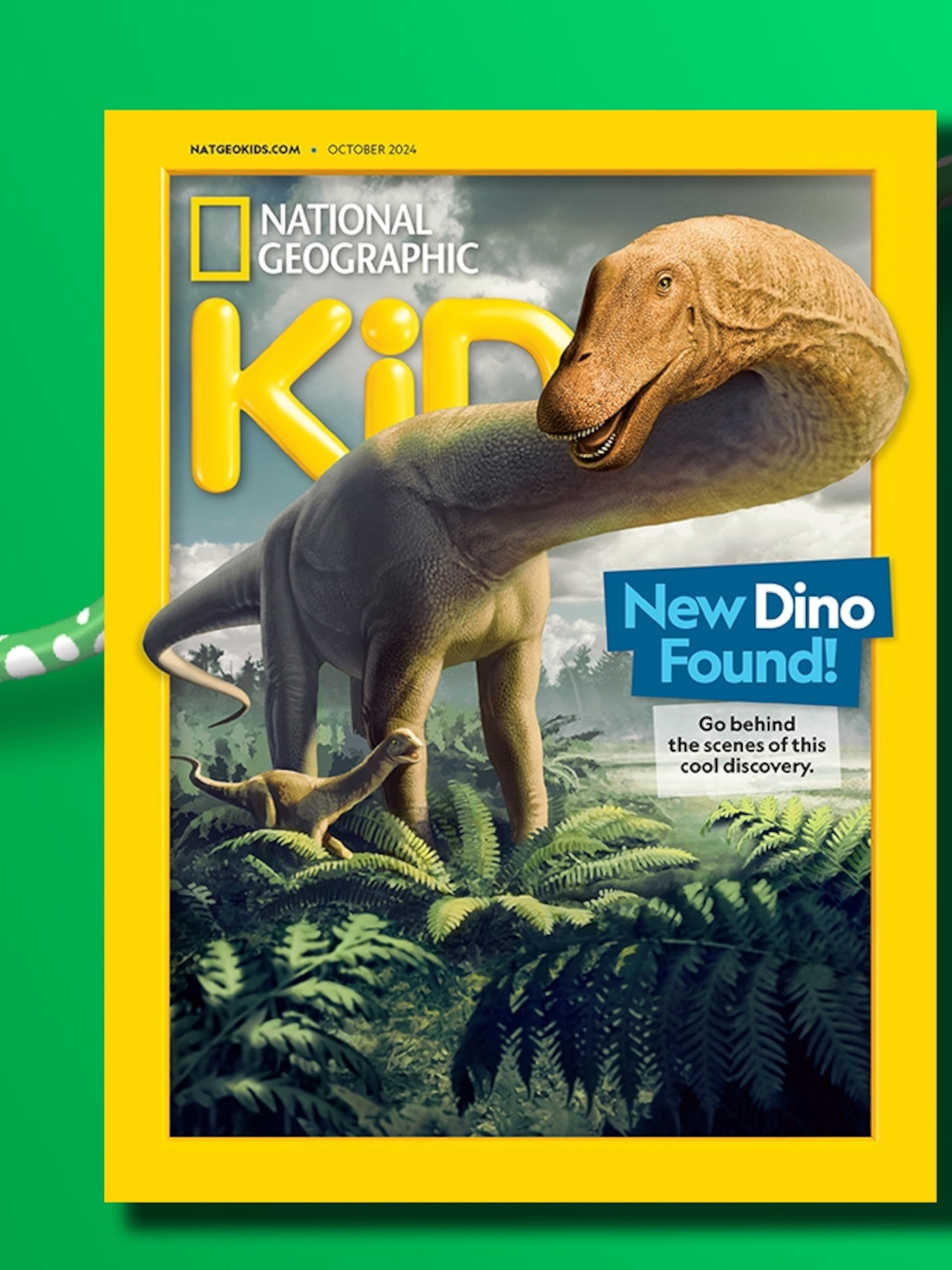 NATIONAL GEOGRAPHIC KIDS MAGAZINE DISCOUNT CODE visual data 3
