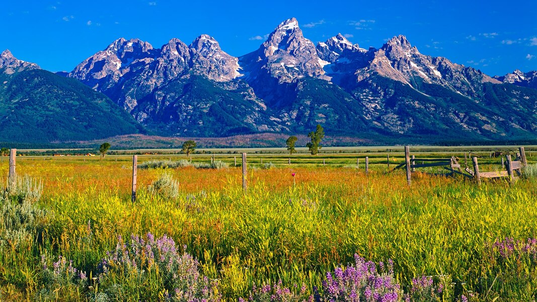 Wyoming landscape with hemp fields