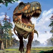 T Rex Dinosaur
