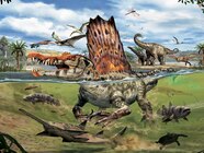 Spinosaurus Facts Fun Educational Dinosaurs For 1536x1024