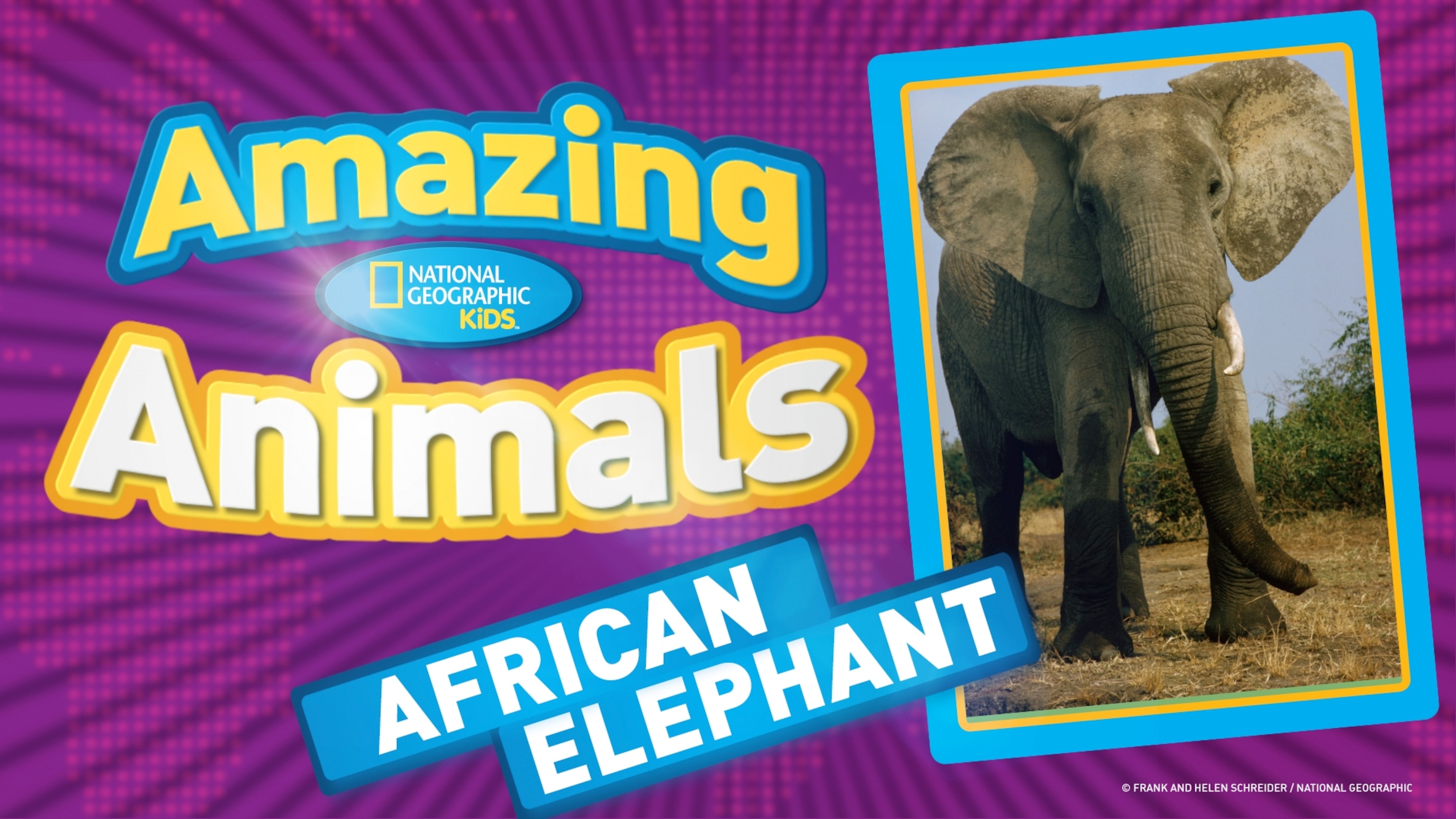 National Geographic Kids | National Geographic Kids