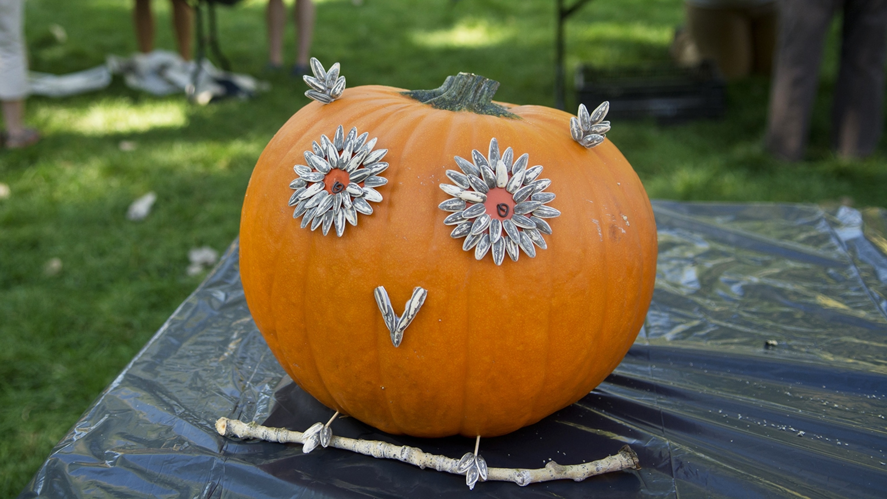 a pumpkin decorated as an owl