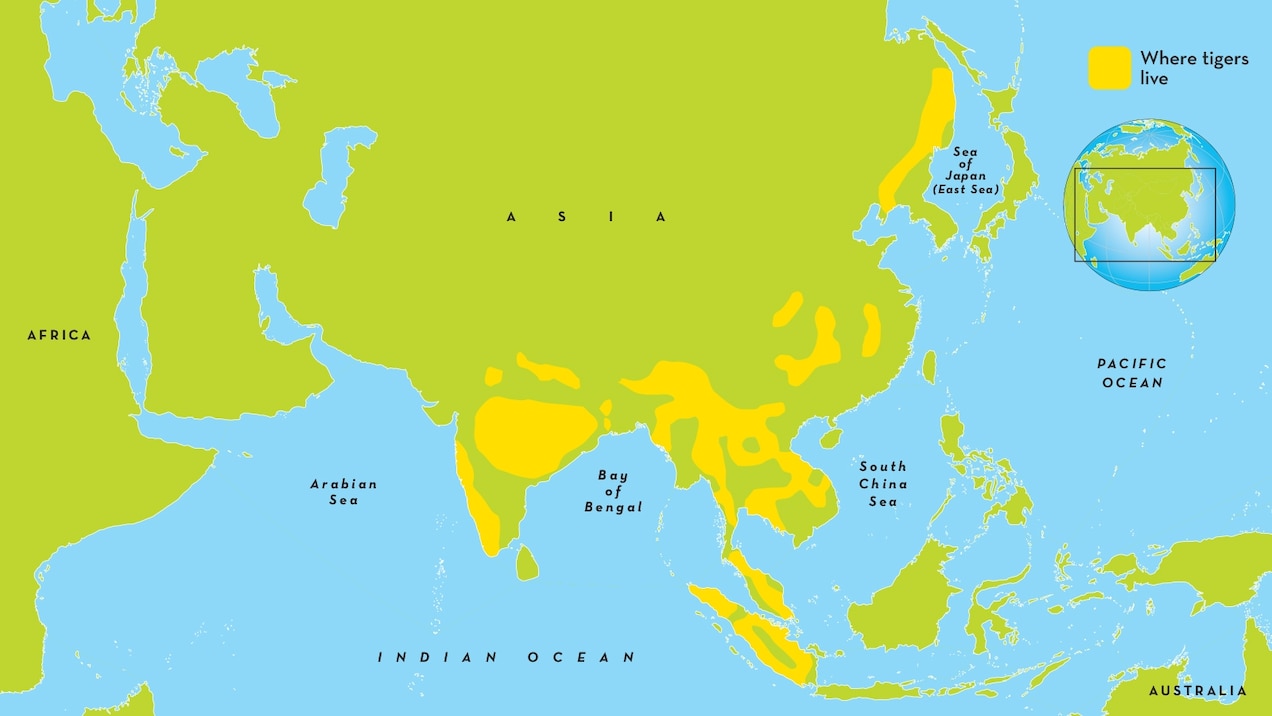 Tiger range map