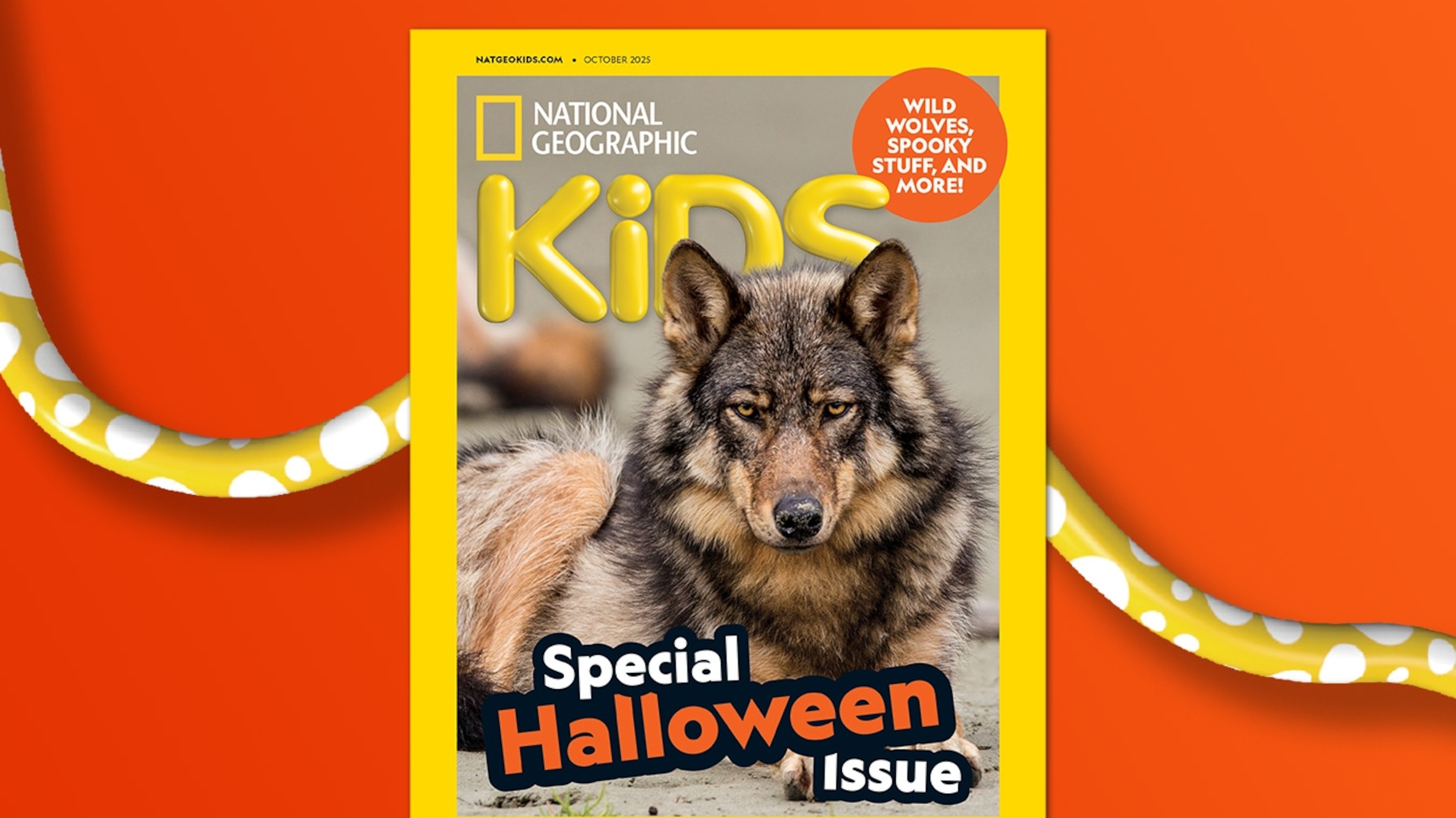 National Geographic Kids レベル1,2,3 National Geographic Kids Readers: Dinosaurs by Kathleen