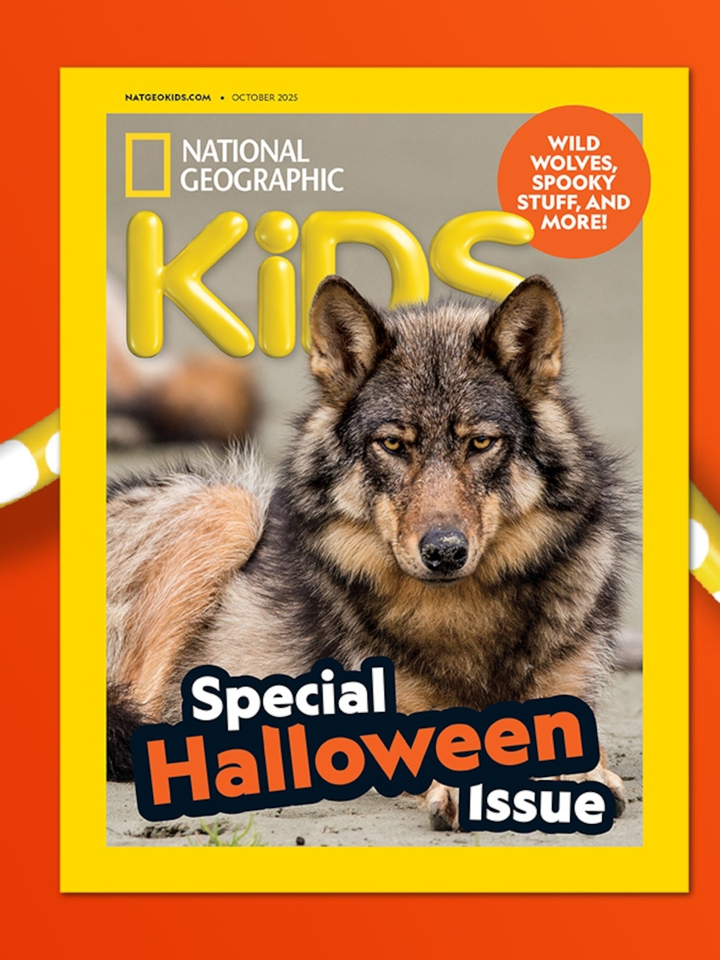 National Geographic Kids幼児版（CD付き） National Geographic Kids幼児版（CD付き）