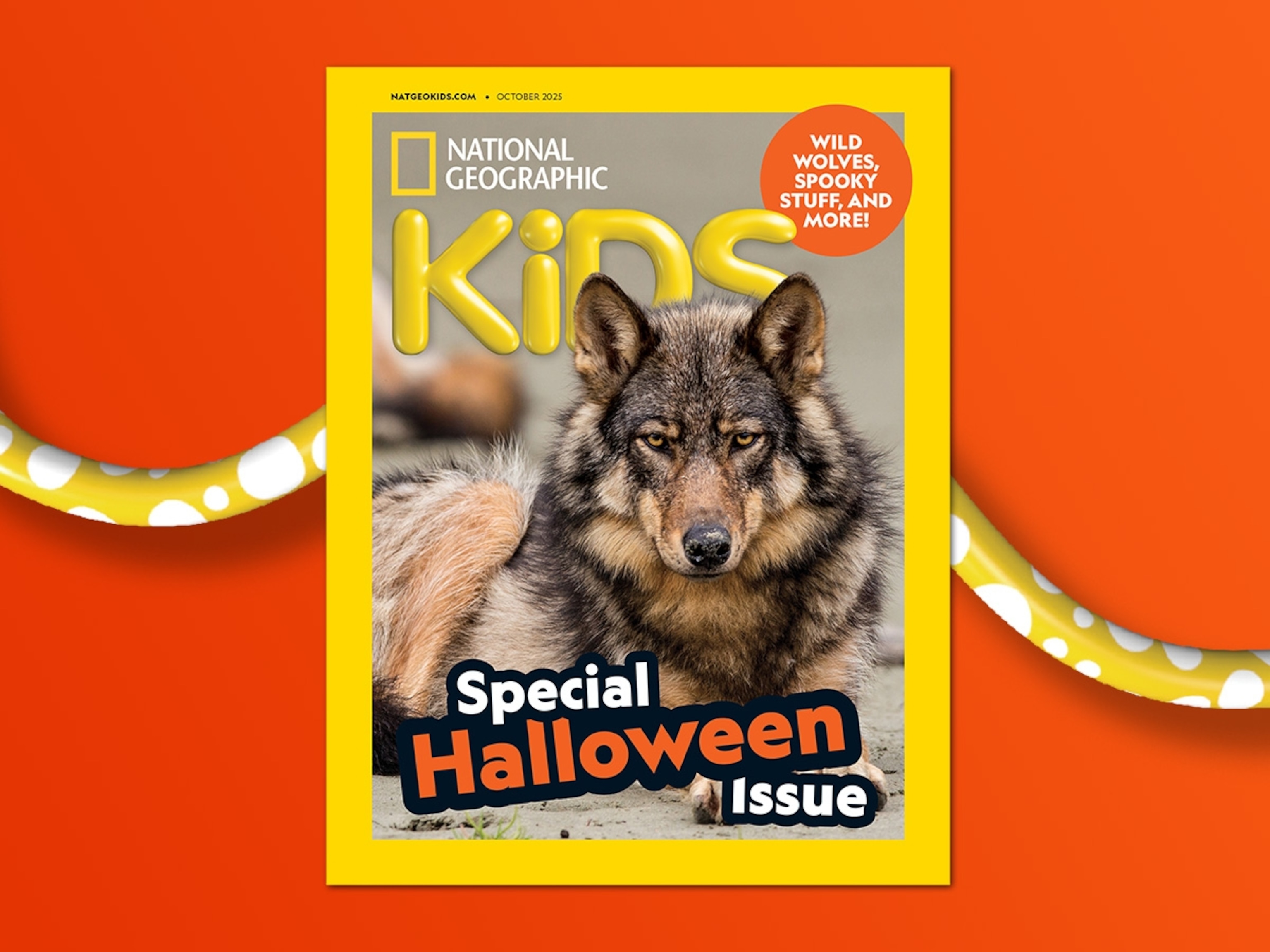 National Geographic Kids 155冊 マイヤペン対応 新品】National geographic Kids L1-L2 60冊 マイヤペン対応