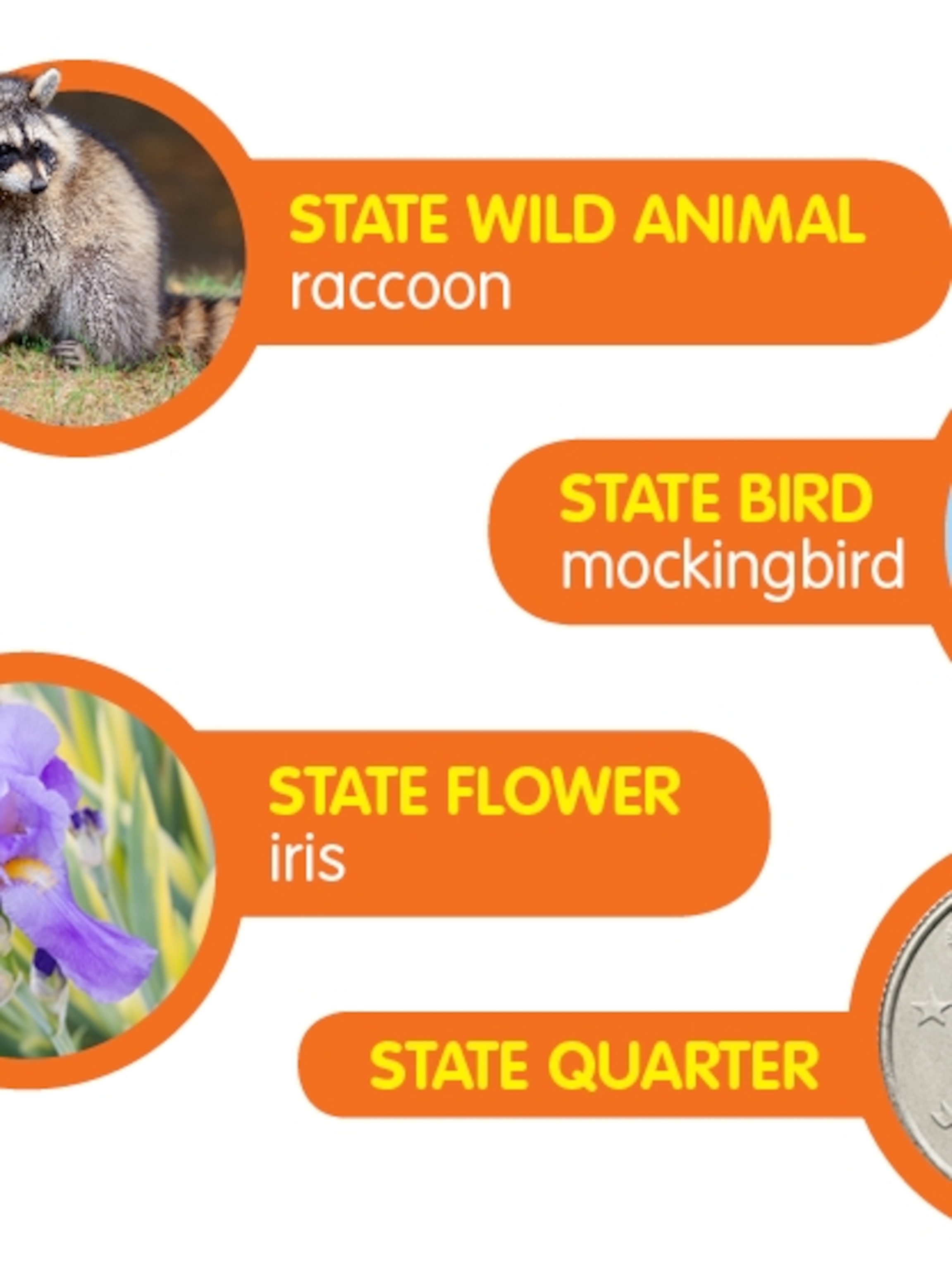 Things About Tennessee