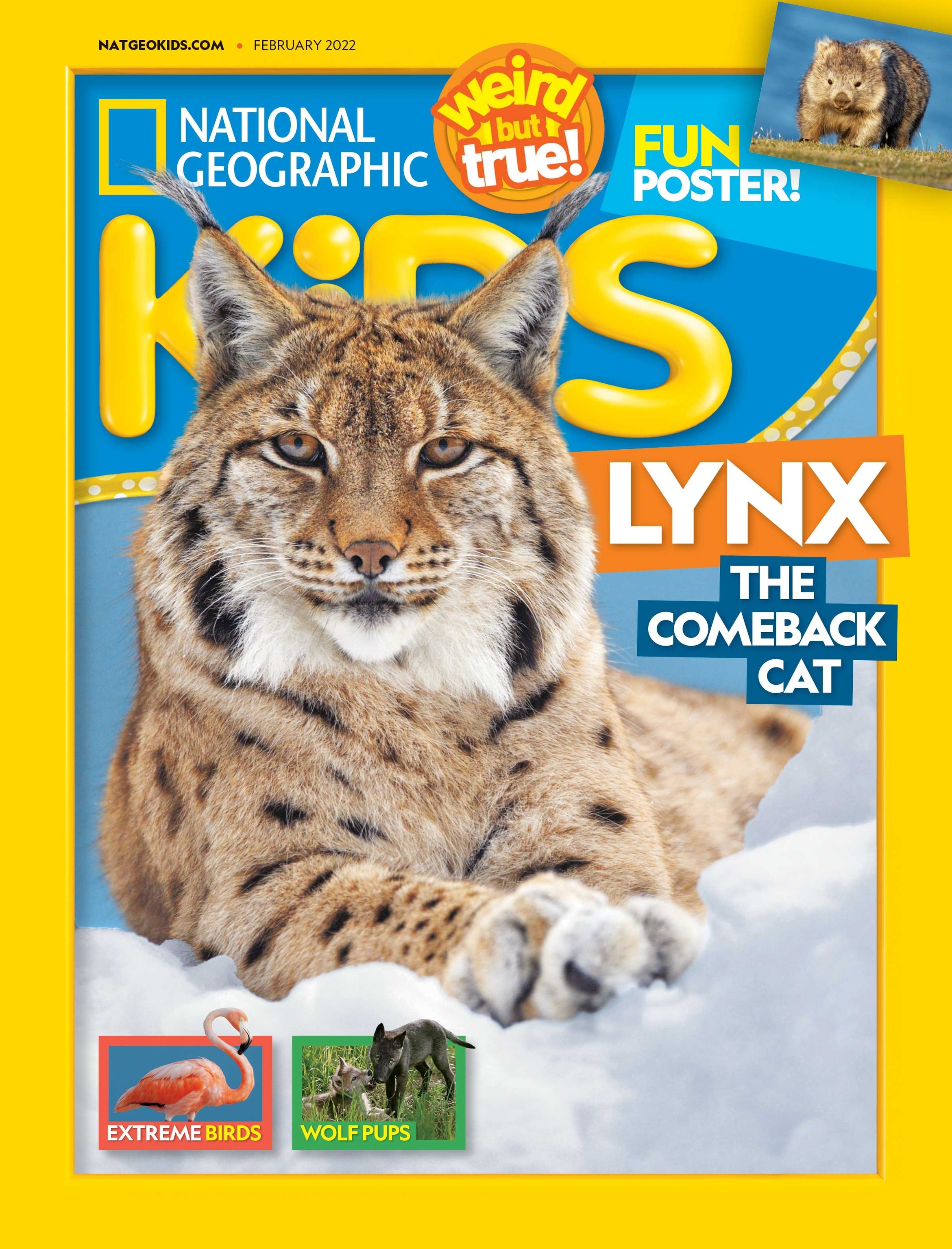 Magazine sneak peek | National Geographic Kids